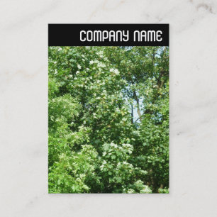 Cartão De Visita V Header - Verão Breeze