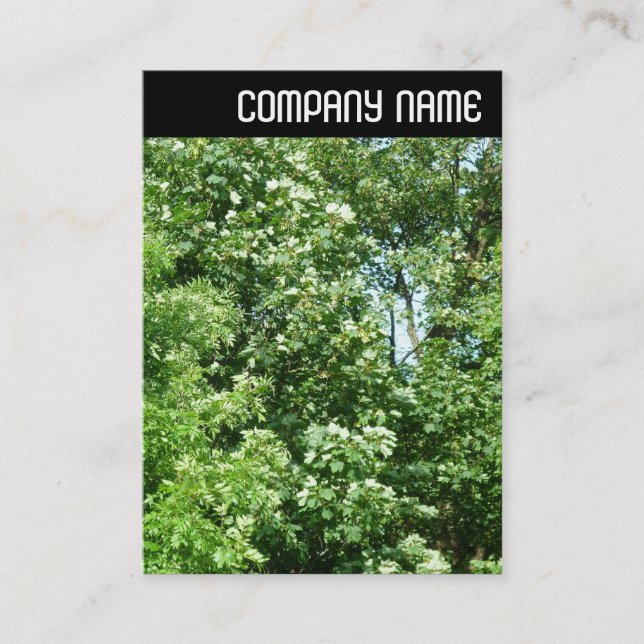 Cartão De Visita V Header - Verão Breeze (Frente)