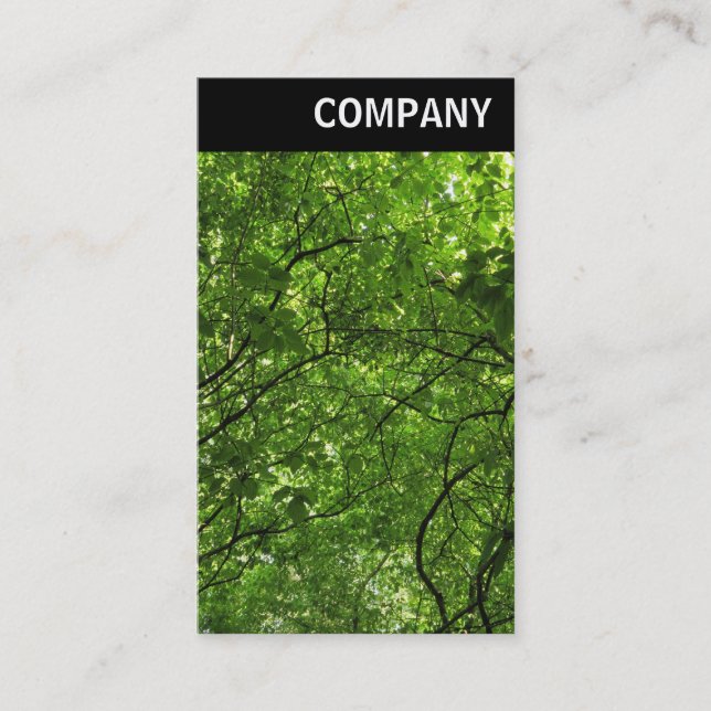 Cartão De Visita V Header - Woodland Canopy (Frente)