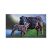 Vaca e Bezerro Black Angus
