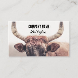 Cartão De Visita vaca marrom país fotografia personalizada animal
