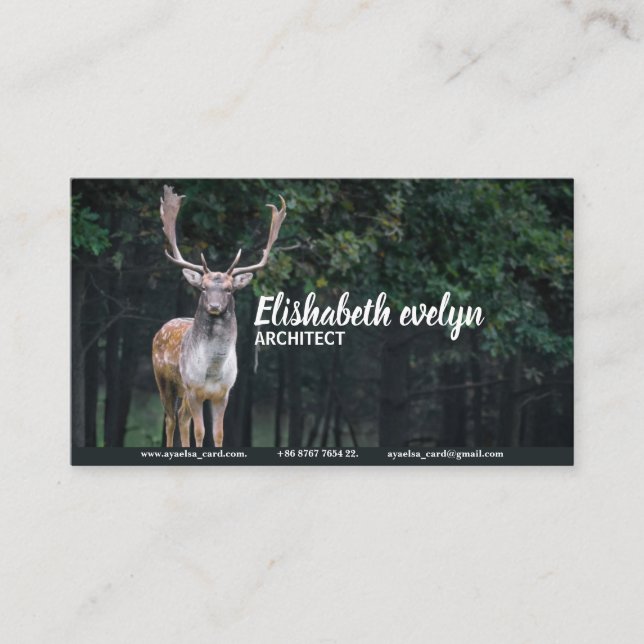 Cartão De Visita veado selvagem (Frente)