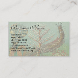 Cartão De Visita Vermes Antigos Annelids Chaetopoda por Ernst Haeck