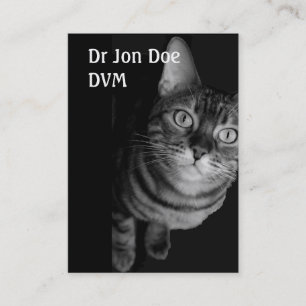 Cartão de visita Vet IV