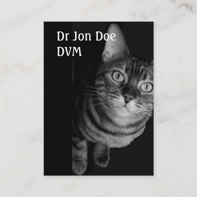 Cartão de visita Vet IV (Frente)