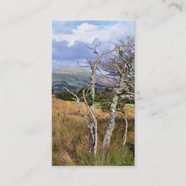 CARTÃO DE VISITA VISÕES DAS PAREDES (Frente)