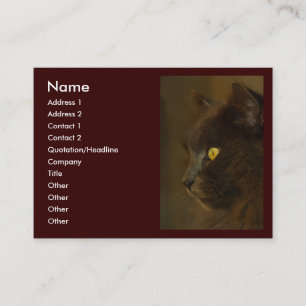 Cartão De Visita Vista para fora