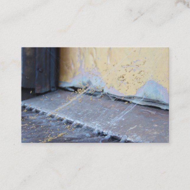 Cartão De Visita Web Spider (Frente)