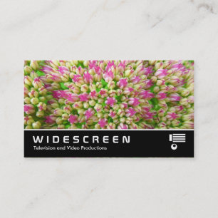 Cartão De Visita Widescreen 349 - Sedum "Alegria de outono"