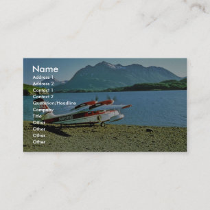 Cartão De Visita Widgeon N86616