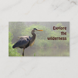 Cartão De Visita Wilderness Tours
