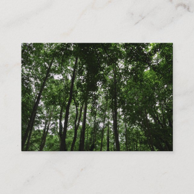 Cartão De Visita Woodland Canopy 02 (Frente)