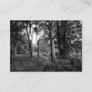 Cartão De Visita Woods Bute Park, Cardiff, Mini Foto