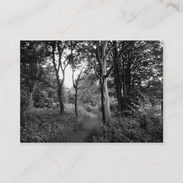 Cartão De Visita Woods Bute Park, Cardiff, Mini Foto (Frente)