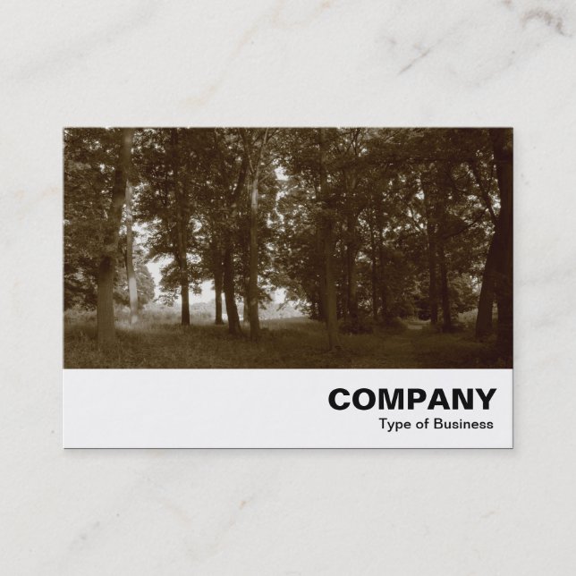 Cartão De Visita Woods, Bute Park Cardiff - Sepia tonado (Frente)