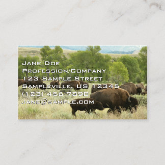 Cartão De Visita Wyoming Bison Nature