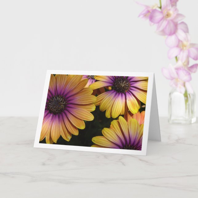 Cartão de Visitas Africano Amarelo e Roxo (Orquídea)