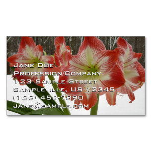 Cartão De Visitas Magnético Amaryllis no Feriado Vermelho de Neve Floral de in