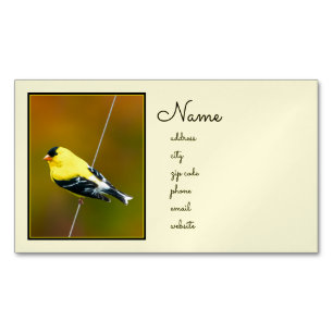Cartão De Visitas Magnético American Goldfinch - Fotografia original