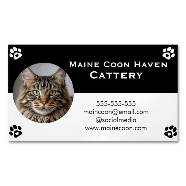 Cartão De Visitas Magnético Black and White Maine Coon Customizable  (Frente)