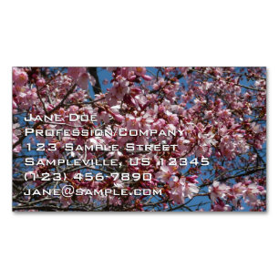 Cartão De Visitas Magnético Cherry Blossoms e Blue Sky Primavera Floral