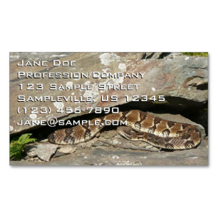 Cartão De Visitas Magnético Cobra cascavel no Parque Nacional Shenandoah