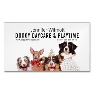 Cartão De Visitas Magnético Doggy Daycare