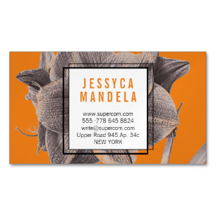 Cartão De Visitas Magnético Flor Moderno Amaryllis Laranja