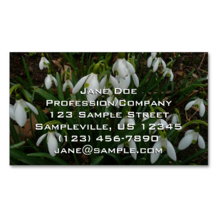 Cartão De Visitas Magnético Flores de primavera Brancas I (Galanthus)
