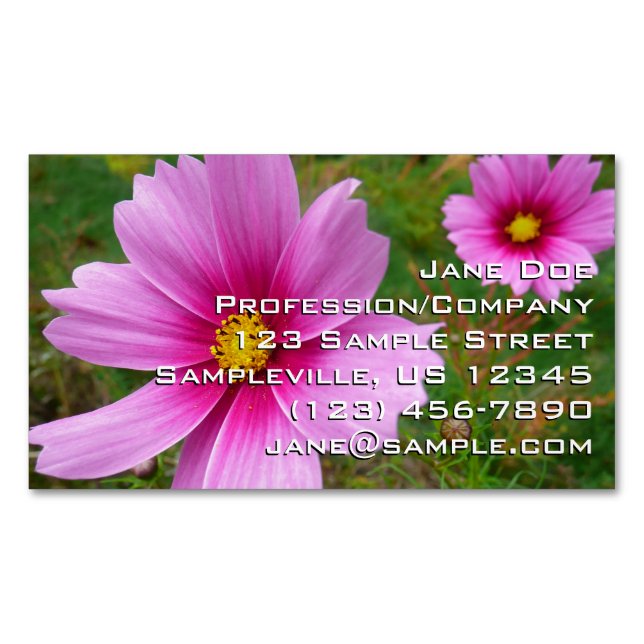 Cartão De Visitas Magnético Flores Silvestres Cosmos Rosa (Frente)
