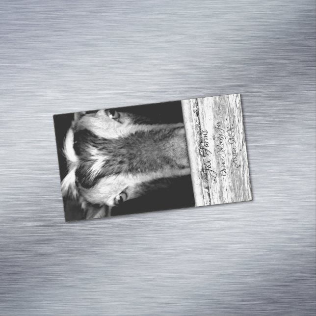 Cartão De Visitas Magnético Ímã da cabra (Posição Original)