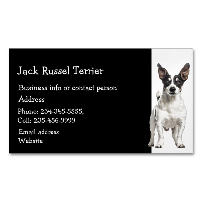 Cartão De Visitas Magnético Jack Russel Terrier Dog Breeder Pet Sitter Busines (Frente)