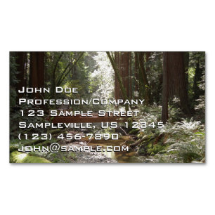 Cartão De Visitas Magnético Muir Woods Ponte II
