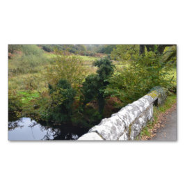 Cartão De Visitas Magnético nature way of impersonating animals