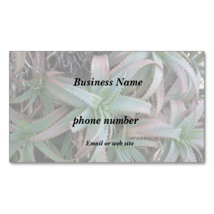 Cartão De Visitas Magnético Nevada suculenta