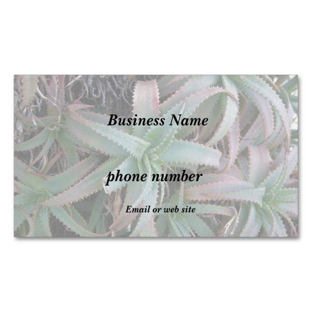 Cartão De Visitas Magnético Nevada suculenta (Frente)