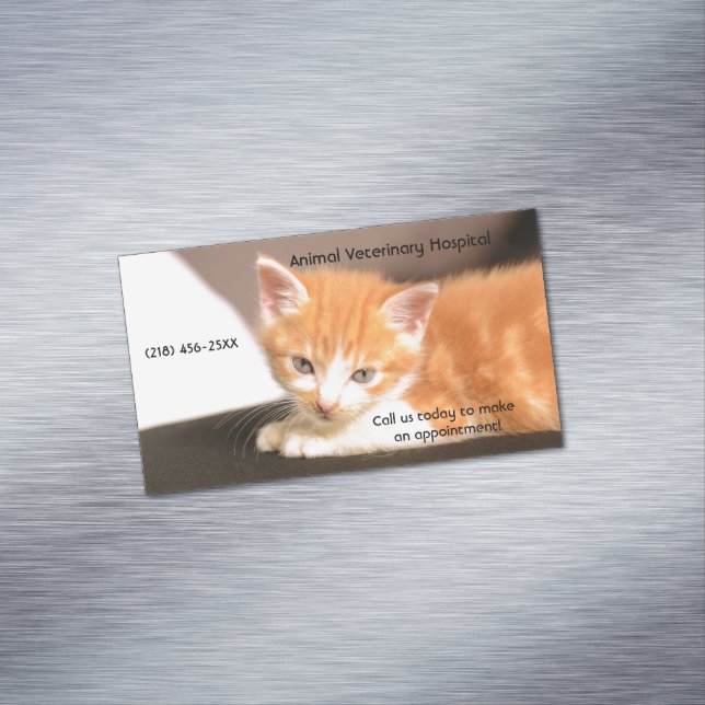 Cartão De Visitas Magnético Nomeação dos Serviços de Pet Care de Orange Kitten (Posição Original)