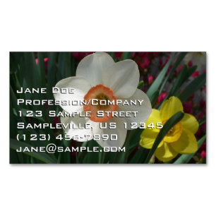 Cartão De Visitas Magnético Par de Daffodils Flores Rosa e Amarelo