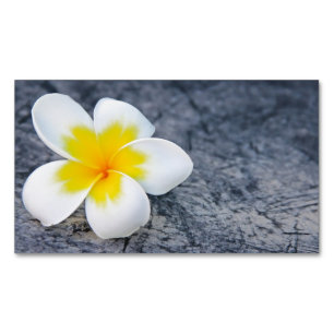 Cartão De Visitas Magnético Plumeria Lumbar Travesseiro