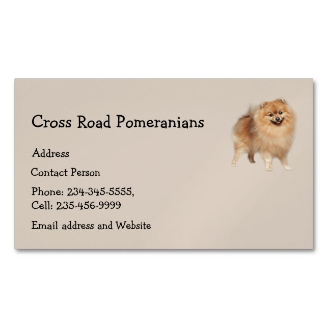 Cartão De Visitas Magnético Pomeranianos Cães Pet Animal (Frente)