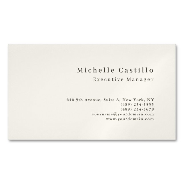 Cartão De Visitas Magnético Professional Minimalist Modern (Frente)