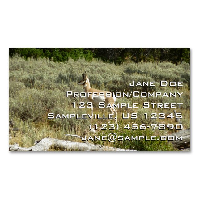 Cartão De Visitas Magnético Pronghorn no Grand Teton National Park (Frente)