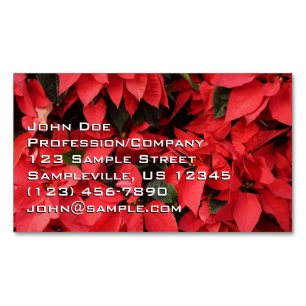 Cartão De Visitas Magnético Red Poinsettias II Feriado de Natal Floral
