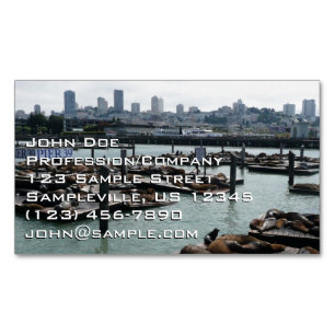 Cartão De Visitas Magnético São Francisco e Leões Marinhos do Pier 39 Silhueta
