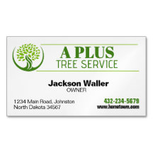 Serviço de Trimagem em Árvore