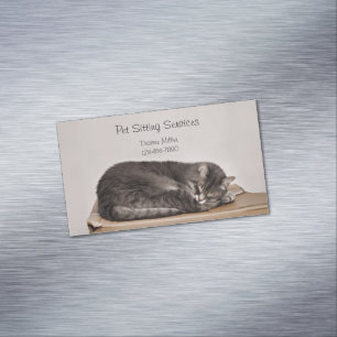 Cartão De Visitas Magnético Serviços de Pet Sitter, Tosa de Gatos e Passeio de