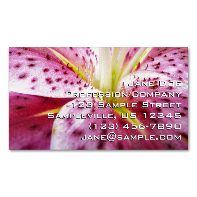 Cartão De Visitas Magnético Stargazer Lily Bright Magenta Floral (Frente)