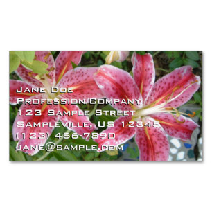 Cartão De Visitas Magnético Stargazer Lily Garden Floral