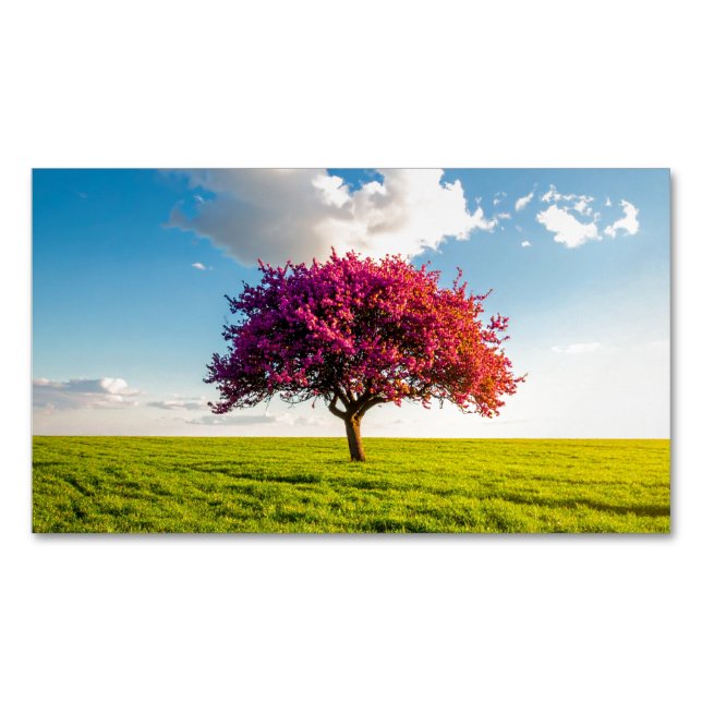 Cartão De Visitas Magnético tree (Frente)