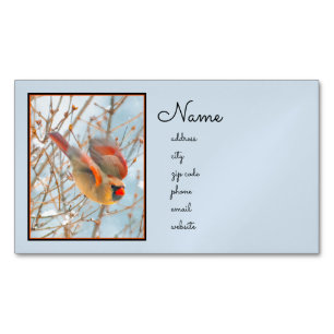 Cartão De Visitas Magnético Voo Cardinal do norte - Fotografia Original